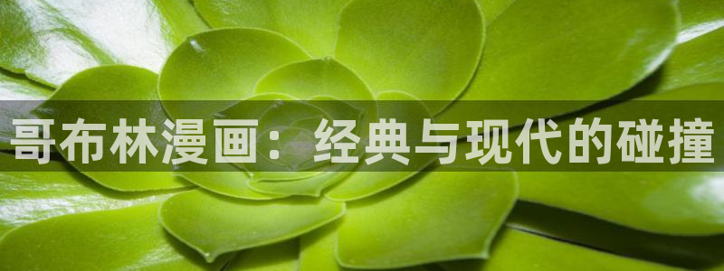 新新漫画漫画分类：哥布林漫画：经典与现代的碰撞