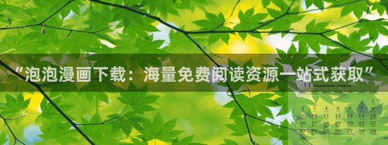 鸣鸟不飞 新新漫画：“泡泡漫画下载：海量免费阅读资源一站式获取”