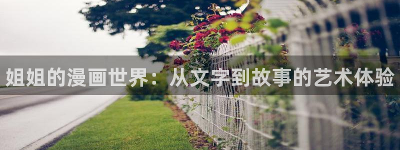 bl新新漫画网：姐姐的漫画世界：从文字到故事的艺术体验