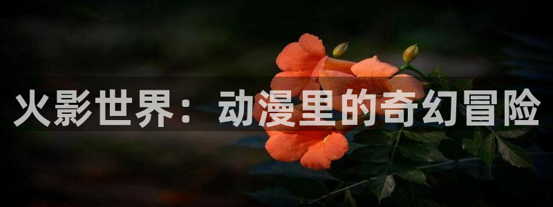 新新漫画移动端：火影世界：动漫里的奇幻冒险