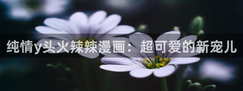 新新漫画苹果如何安装ios：纯情y头火辣辣漫画：超可爱的新宠儿