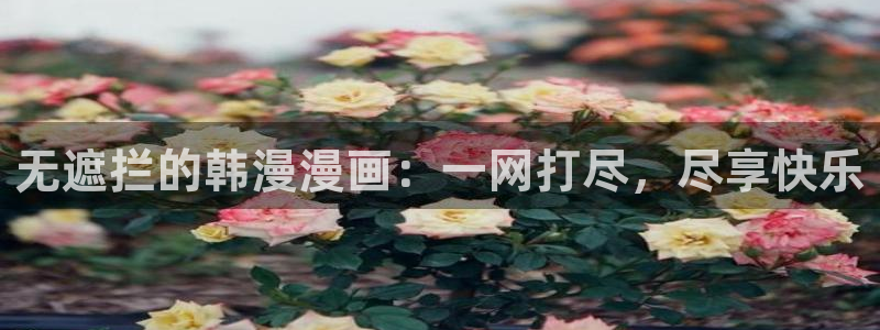 新新漫画耽