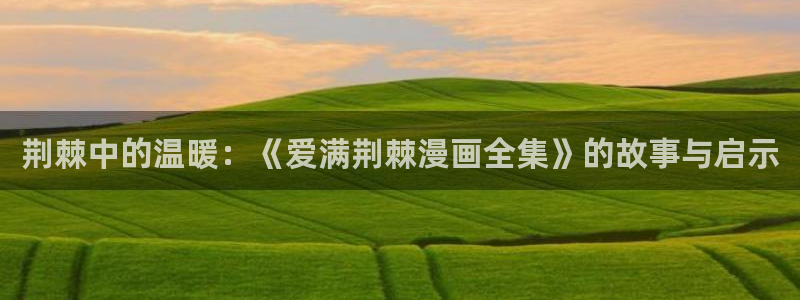 新新漫画漫画分类：荆棘中的温暖：《爱满荆棘漫画全集》的故事与启示