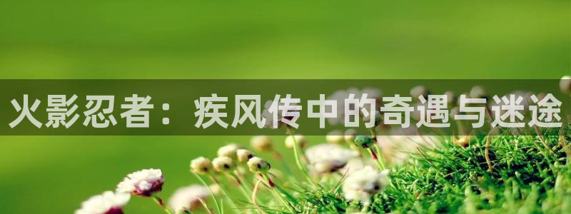 寄宿日记新新漫画：火影忍者：疾风传中的奇遇与迷途